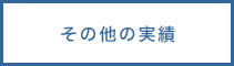 その他の実績